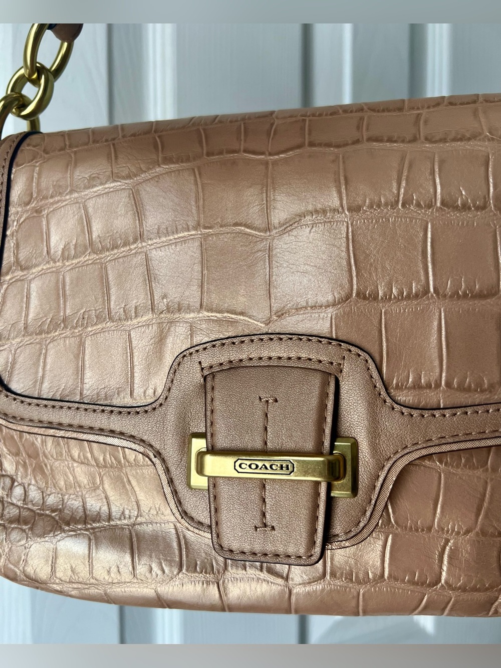 Coach Taylor Embossed Leather Bag in Sand Taupe - Picture 5 of 14